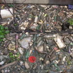 shoreline plastic and garbage