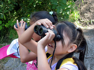 Birders can earn quite a bit about a bird by steady observation with the naked eye. But then they need a decent pair of binoculars, which don't have to be expensive. (photo by Meghan Kearney, USFWS)